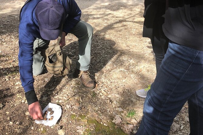 Private Truffle Hunt in Tuscany - FAQs