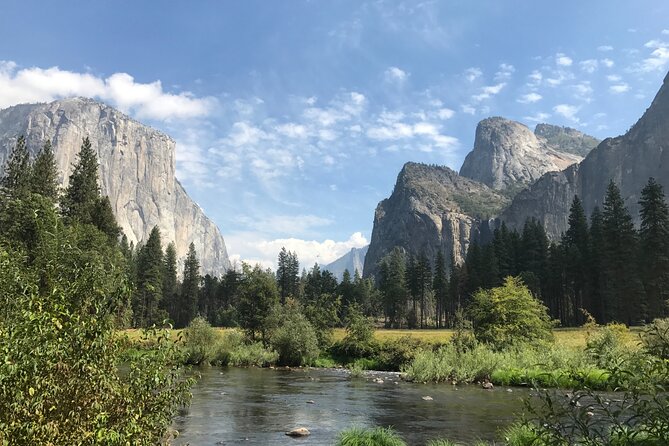Private Yosemite Valley Tour & Roosevelt Cookout - The Sum Up