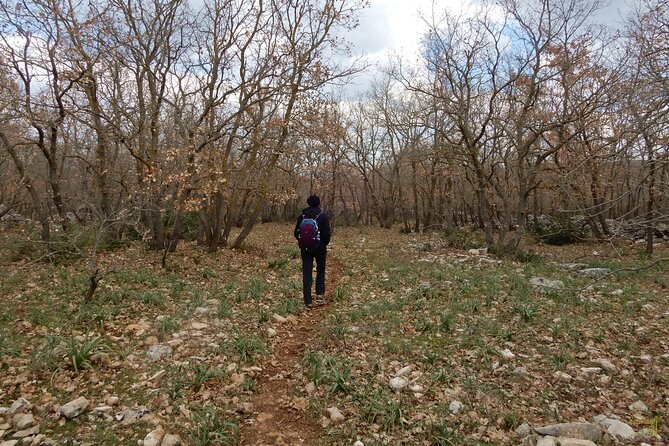 Querceti di Quasano: excursion in the Alta Murgia National Park - Final Thoughts