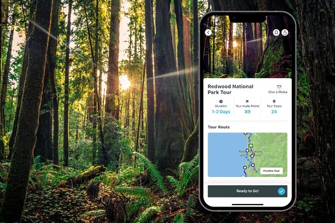 Redwood National Park Self-Guided Audio Tour - The Sum Up