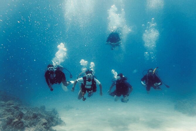 Refresher Scuba Dive - What to Expect During the Dive