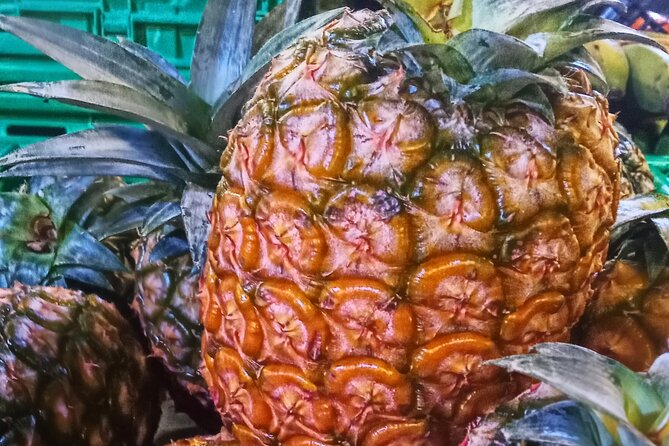 Regional food experience in Ponta Delgada - FAQs