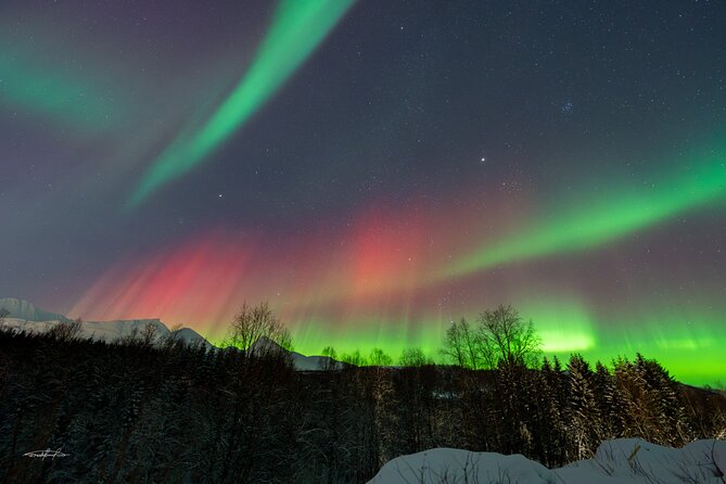 Reindeer Feeding and Sledding, Sami Storytelling Night Tour - Frequently Asked Questions (FAQs)