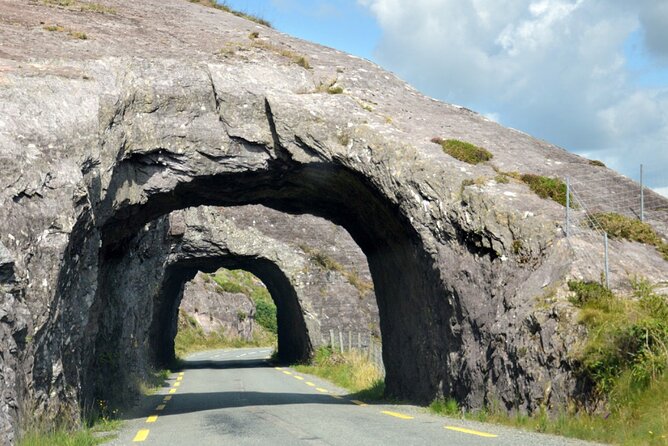 Ring of Kerry and Dingle Peninsula 2 Days Private Chauffeur Tour - Who Will Love This Tour?