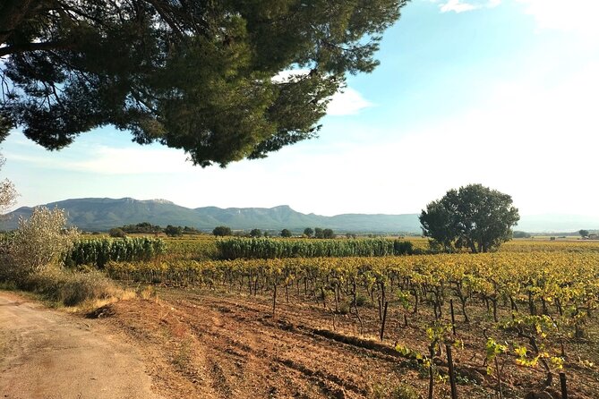 Romantic Couple's Day to Relax in Provence off the beaten path - Authentic Experiences and Genuine Relaxation