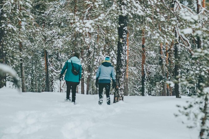 Rovaniemi: Snowshoeing in a magical snowy forest - The value for your money