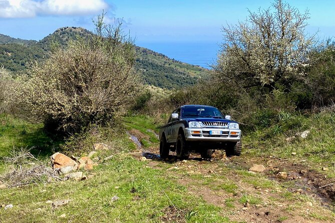 Safari Jeep Wild Adventure - Who Will Love This Tour?