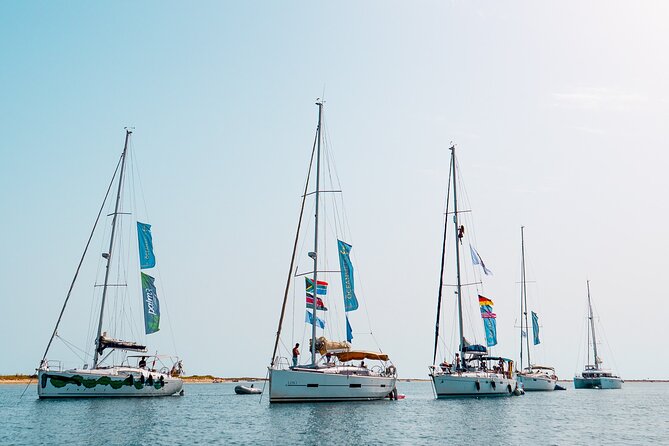 Sailing Experience in Lisbon - Portugal - Practicalities: Duration, Group Size, and Price