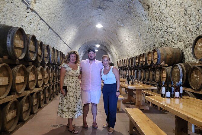 Santorini Exclusive Golden Wine Tasting Tour Experience - Who Will Love This Tour? 