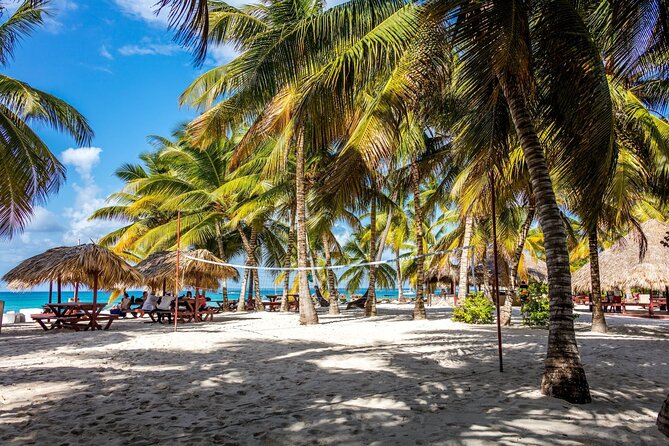 Saona Island Cruise & Private Beach - Who Is This Tour Best For?