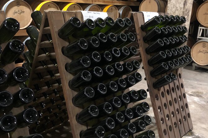 Secret Corners and Tastes of Mallorca by Private SUV Tour - The Experience in Practice