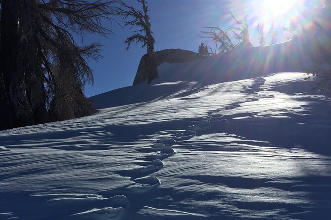 Self Guided Snowshoe Experience at Lake Tahoe - Practical Details: Tips for Your Snowshoe Day