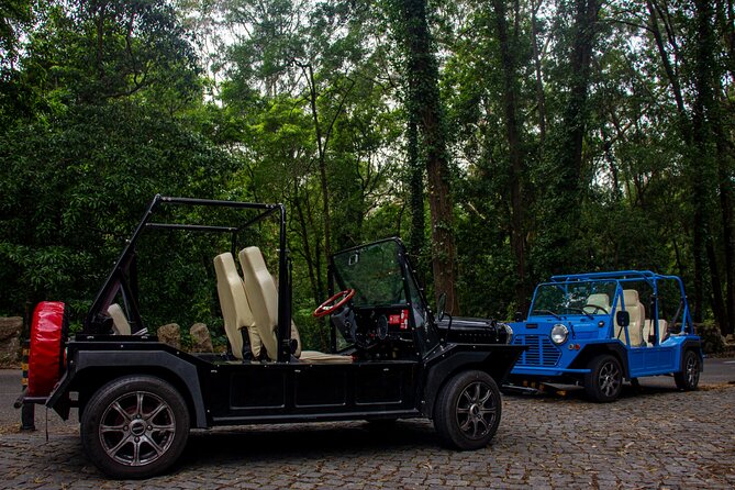 Sintra Tuk Tuk (Electric) 4-5 hours tour - Authentic Insights from Reviewers