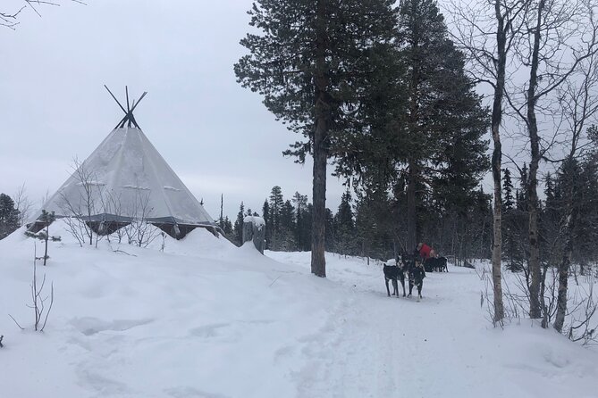 Sit Back and Relax Morning Husky Tour - FAQ