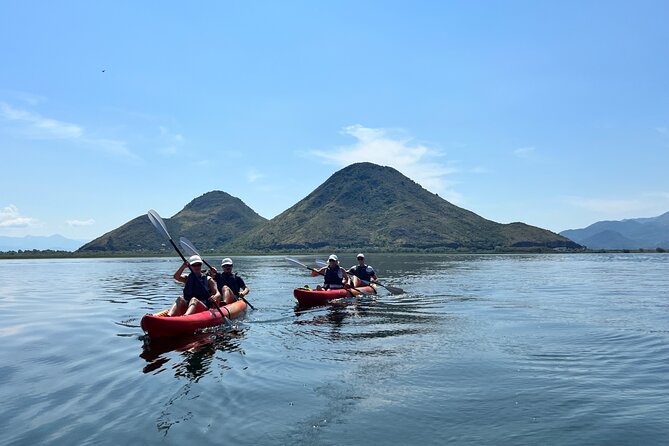 Skadar Lake: 4-Hour Guided tours on Kayak - Why This Tour Is a Great Choice