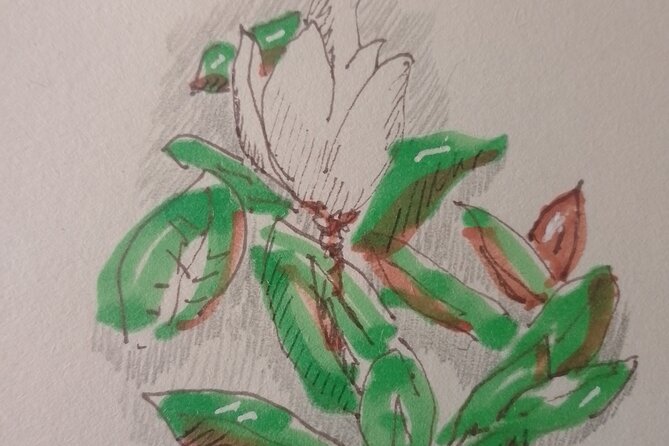 Sketching in Rome Villa Borghese Private lesson with Guido - Why This Tour Offers Great Value