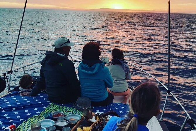 Small Group Boat Whale and Dolphin Watching Tour - Final Thoughts