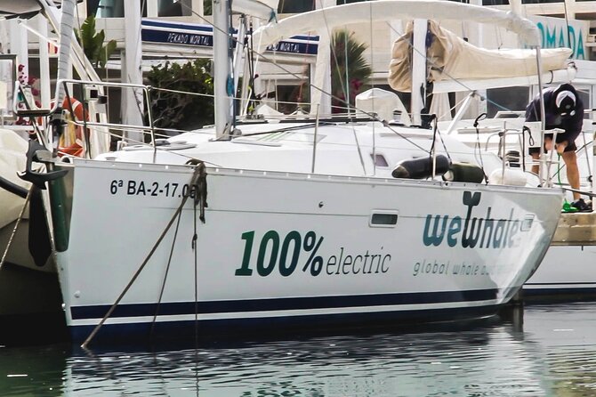 Small Group Dolphin Sunset Tour on Electric Sailing Boat Denia - Who Should Book This Tour?