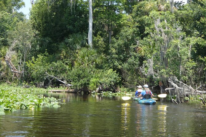 Small Group Scenic Wekiva River Kayak Tour near Orlando - Analyzing the Cost: Is It Worth ?