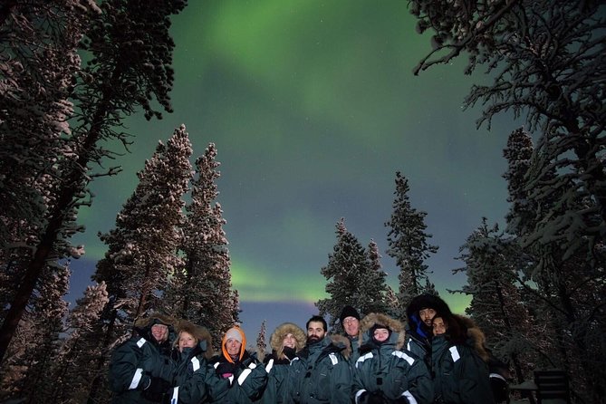 Snowmobile Aurora Expedition with dinner - The Sum Up: Is This Tour Worth It?