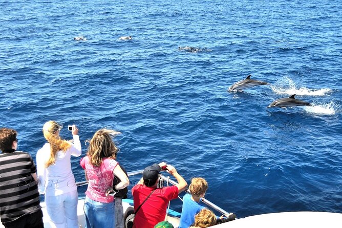 Spirit of the Sea: Cetacean sighting in Gran Canaria - Who Should Consider This Tour?