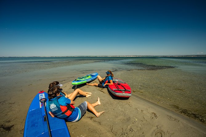 Stand-up-paddle on Laguna of Thau, rental, Sete - The Experience in Detail