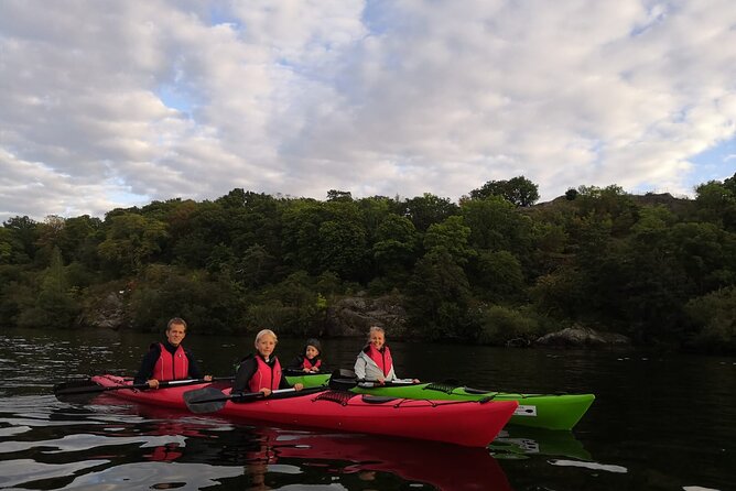 Stockholm Evening Kayak with BBQ - Small Group - What Makes This Tour Special?