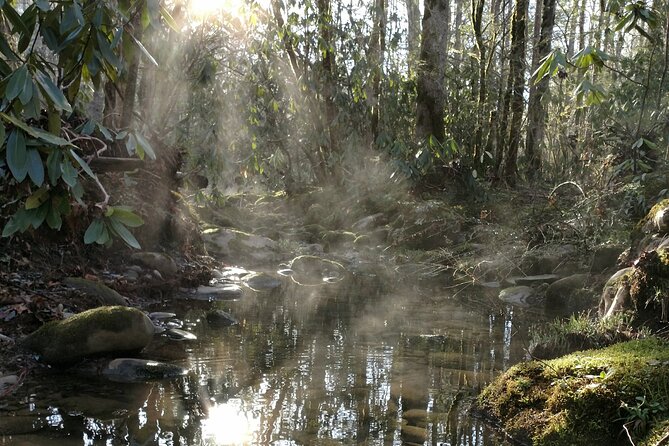 Stroll Back in Time Smokies History Streams and Forest Hike - Final Thoughts