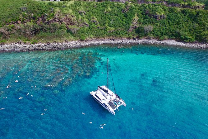 Summer Morning Express Snorkel Adventure off Ka'anapali Beach - Practical Tips for Your Maui Snorkel Adventure
