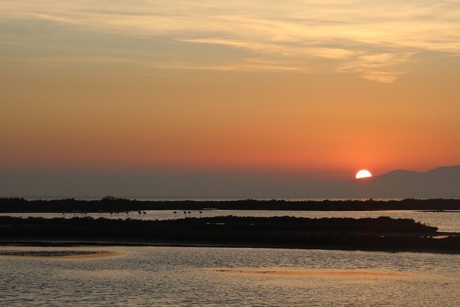 Sunset among flamingos in the Ebro Delta - FAQ
