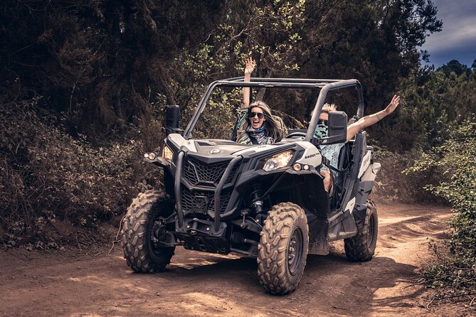 Tenerife Guided Buggy Discovery Tour Around Mount Teide - Final Thoughts
