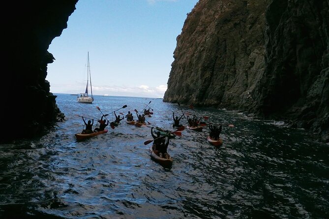 Tenerife: Guided kayak tour with snorkeling in a marine reserve - The Sum Up