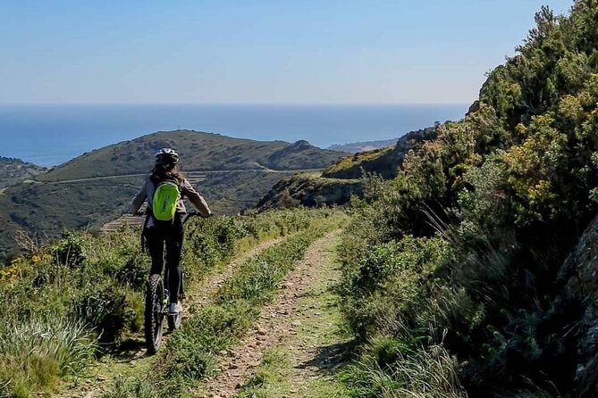 The Collioure Tops on Electric Scooters - What to Expect During the Ride
