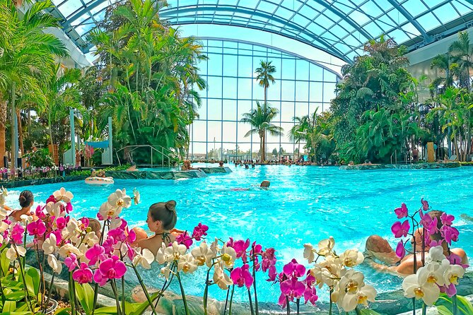 Therme Bucharest Tickets and Water Theme Park - The Experience: What You Can Expect
