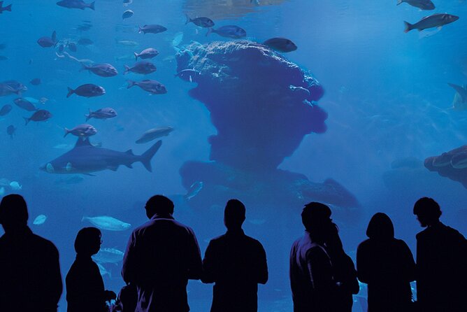 Ticket Palma Aquarium - FAQ