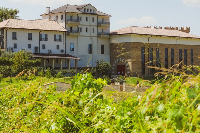 Tirana Lundra Winery Guided Tour with Wine Tasting - Who Is This Tour Best For?