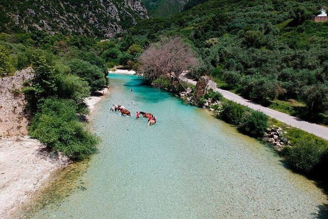 Tour in Acheron River - Authentic Experiences from Reviews