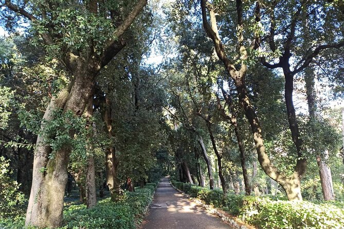 Tour of the Historical Museum and Miramare Castle Park in Trieste - Practical Information