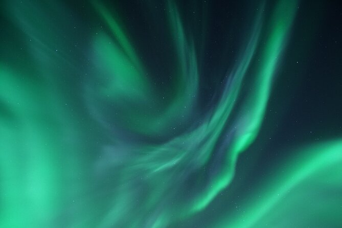 Tromsø: Evening Cruise with Northern Lights Opportunity - Final Thoughts: Is This Tour for You?