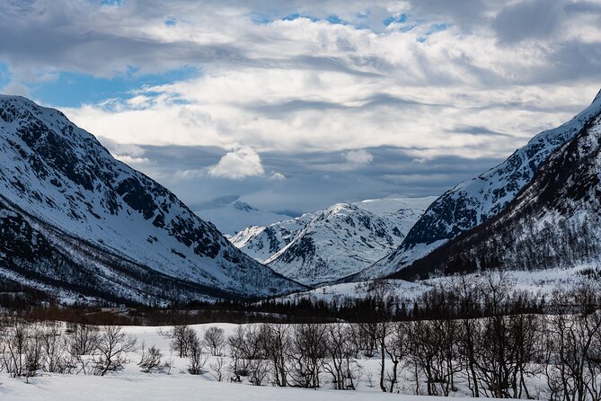 Tromso-Snowshoeing Excursion to Viewpoint - Final Thoughts