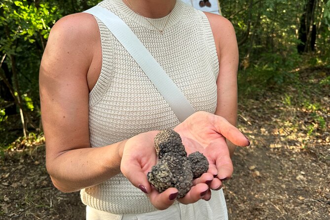 Truffle Hunting in San Gimignano - Who Will Love This Tour?