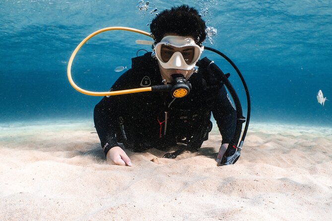 Try Scuba Diving | 1 dive - Who is This Tour Best For?