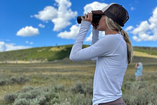 Two Day Yellowstone Tour: Upper & Lower Loop | Bozeman | PRIVATE - Final thoughts: Who is this tour best suited for?