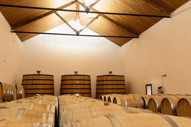 Valencia: Barrels and dishes of typical local Gastronomy - Final thoughts: is this tour right for you?
