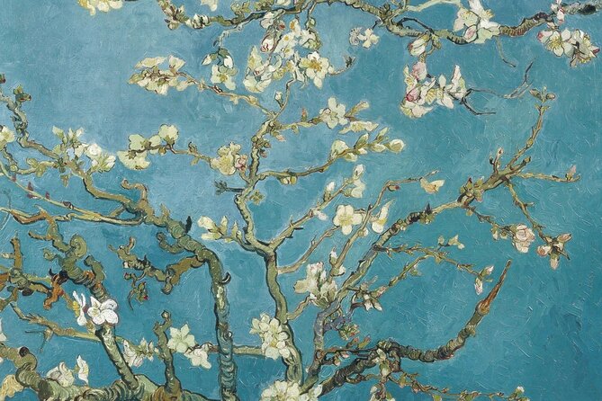 Van Gogh Museum Private Guided 3h Tour & Ticket Entry - Navigating the Experience
