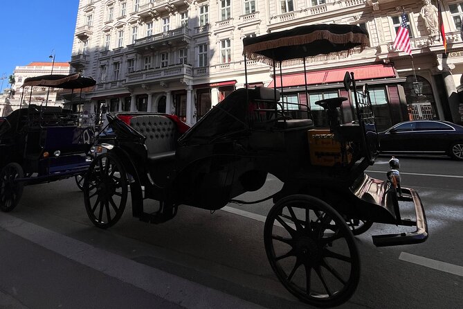 Vienna: 60 min. Royal E-Carriage Sightseeing Tour with Drinks - FAQ