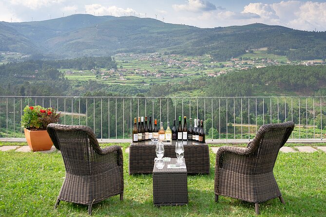 Vinho Verde Experience with 2 Wineries and Lunch - Final Thoughts: Is This Tour for You?