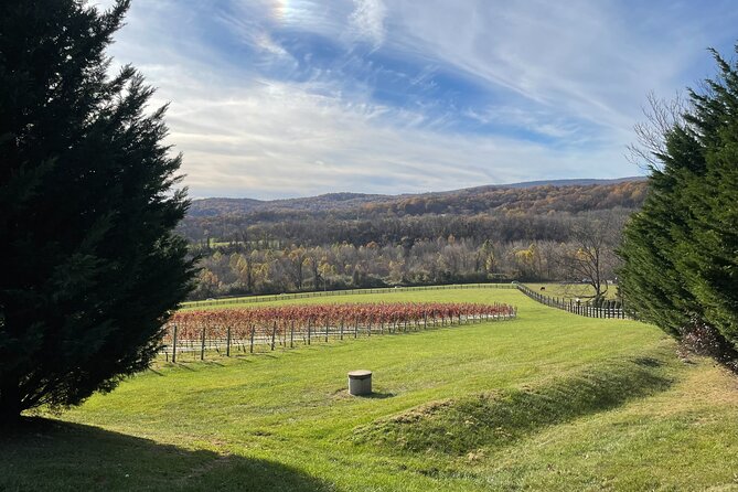 Virginia Winery Excursion by Luxury Vehicle Three wineries - Final Thoughts: Is This Tour Right for You?