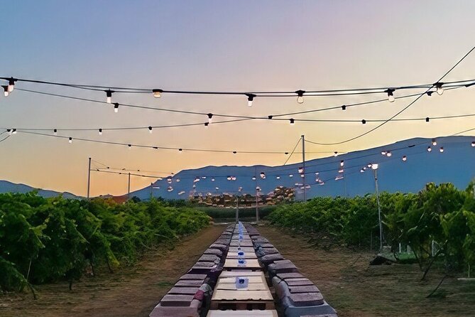 Visit and wine tasting 30 minutes from Pescara - Practical Details
