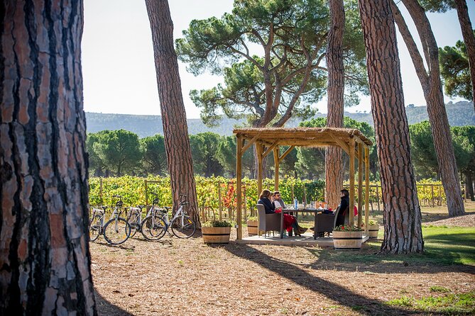 Visit La Joya Escondida de la Ribera del Duero Winery - Who Should Consider This Experience?